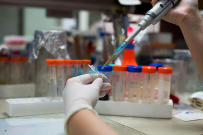 Cropped hands of scientist filing test tubes in laboratory