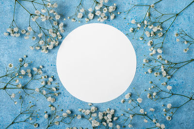 Directly above shot of white and blue floating on table