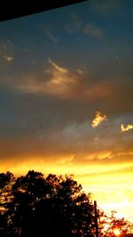 Low angle view of silhouette trees against sky at sunset