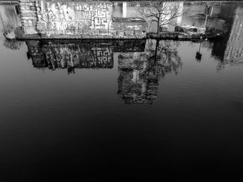 Reflection of trees in lake