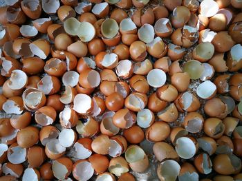 Full frame shot of eggshells