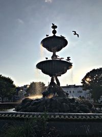 View of birds by fountain against building