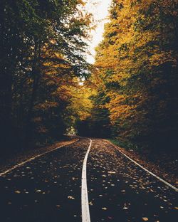 Empty road amidst trees during autumn