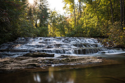 Scenic view of waterfall in forest