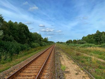 Railroad tracks along trees and plants against sky