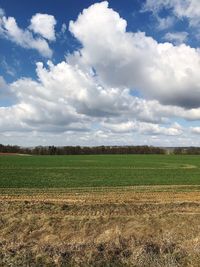 Scenic view of agricultural field against sky