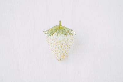 Close-up of cake against white background