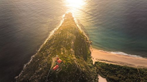 High angle view of man surfing in sea