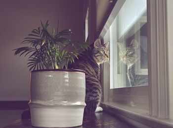 Close-up of drink on table