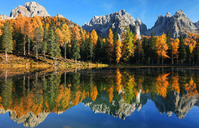 Scenic view of lake by trees against sky