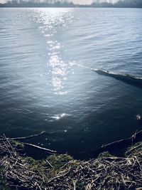 High angle view of beach