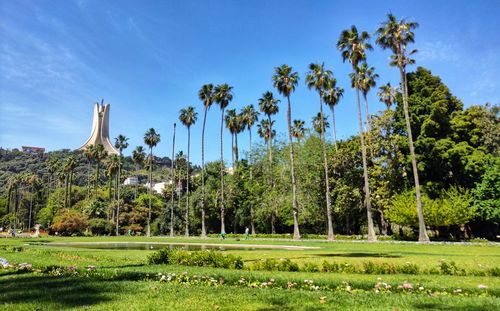 Panoramic view of palm trees on field against sky