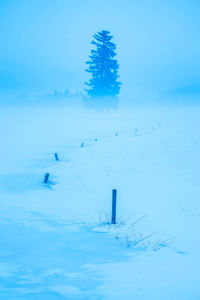 Scenic view of snow covered trees against blue sky