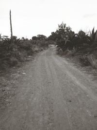 Road amidst field against clear sky