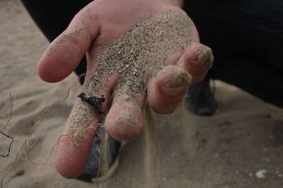 Close-up of hand holding sand