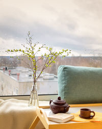 Close-up of potted plant on table by window