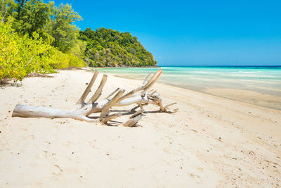 Driftwood on beach by sea against sky