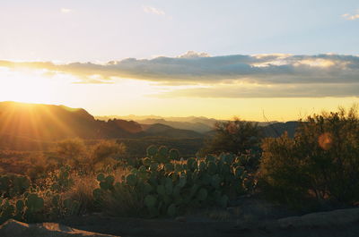 Scenic view of landscape against sky during sunset