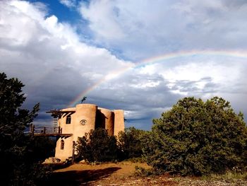 Rainbow over trees