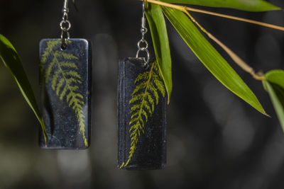 Close-up of decoration hanging on plant