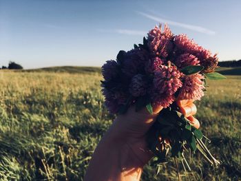 Close-up of hand holding red flower on field