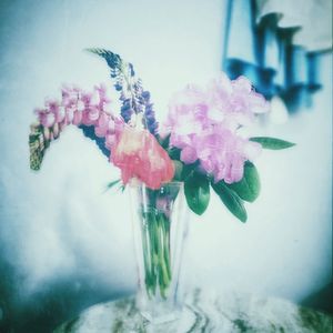 Close-up of pink rose in vase