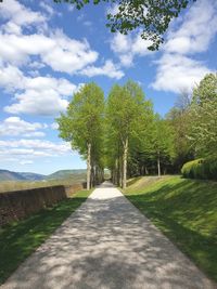 Empty road along plants and trees against sky