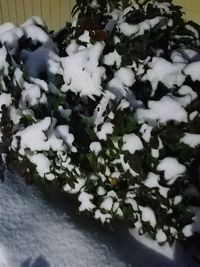 Close-up high angle view of snow