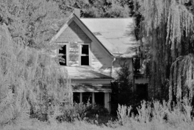 Abandoned house on field