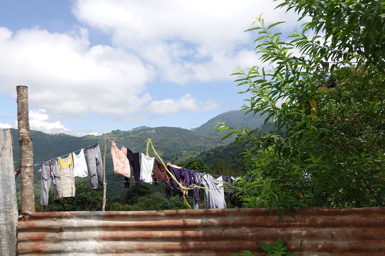 CLOTHES DRYING AGAINST BUILDINGS