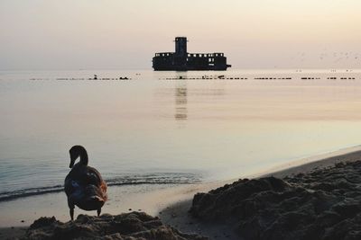 Man sitting on shore at beach against sky during sunset