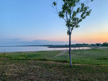 Scenic view of field against sky during sunset