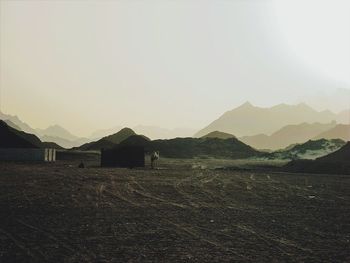 Scenic view of field against clear sky