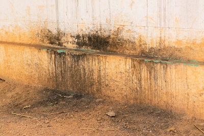 Full frame shot of old wooden wall