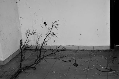 Full frame shot of wet window on wall against building