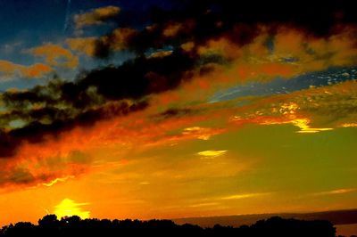 Silhouette of trees at sunset