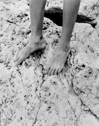 Low section of person standing on mud