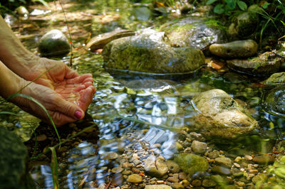 Person hand on creek 