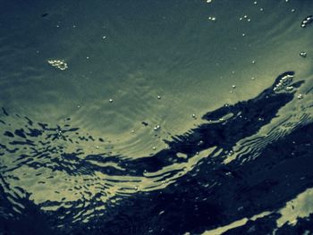 Reflection of trees in water at night