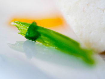 Close-up of ice cream in plate