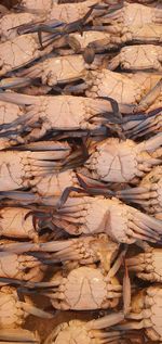 Full frame shot of wood