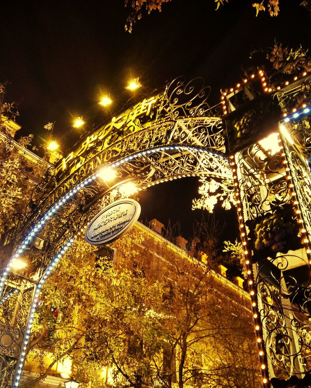 illuminated, night, built structure, architecture, low angle view, lighting equipment, tree, building exterior, street light, branch, arch, glowing, sky, light - natural phenomenon, city, no people, outdoors, decoration, reflection, building