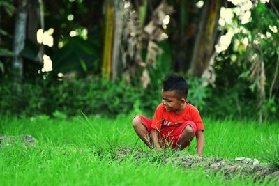 Cute boy crouching on field