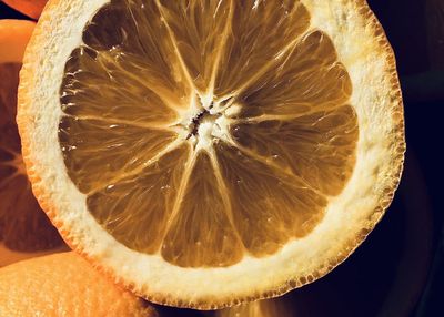 Close-up of lemon slice on table