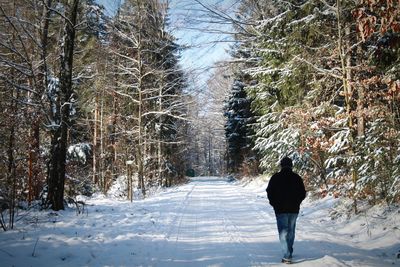 Rear view of man walking in forest during winter