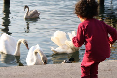 Rear view of girl looking at swans swimming on lake