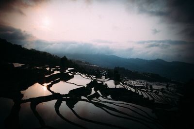 Scenic view of agricultural landscape against sky