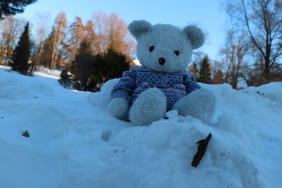 Toy on snow covered land