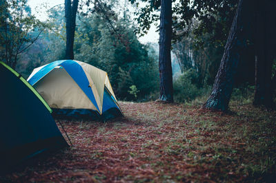 Tent on field by trees in forest