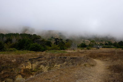 Scenic view of landscape against sky during foggy weather